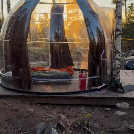 Dome In The Dog Forest Dogs Free To Roam Turenki