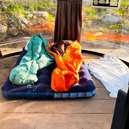 Luxe tent Dome In The Dog Forest Dogs Free To Roam *